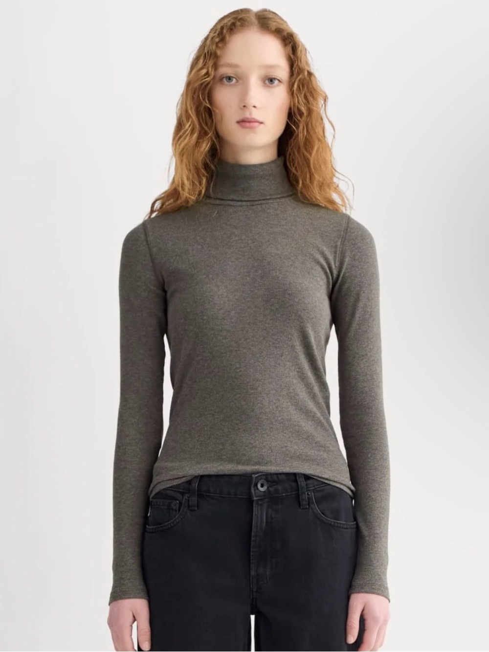 Everlane The Luxe Rib Turtleneck (xs, grey/brown)